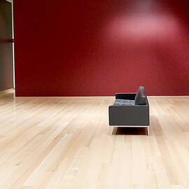 The Red Room by Richard Reeve