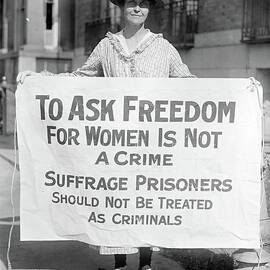 The Right to Vote 1917 by Edward Fielding