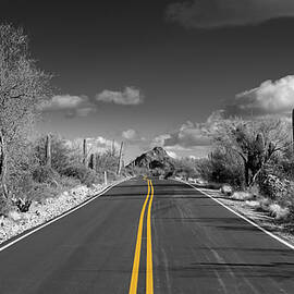 The road goes on for ever in Saguaro national park by Steven Heap