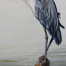 The Sentinel - Portrait of a Great Blue Heron by Dreyer Wildlife Print Collections 