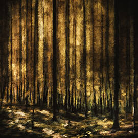 The Silent Woods by Scott Norris