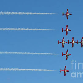 The Snowbirds  by Tatiana Travelways