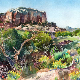 The Spirit of Ghost Ranch by Anne Gifford