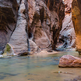 The Virgin River by Adam Mateo Fierro