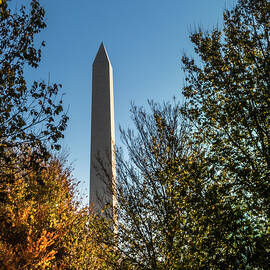 The Washington Monument in Fall by Ed Clark