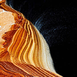 The Wave by Louis Dallara