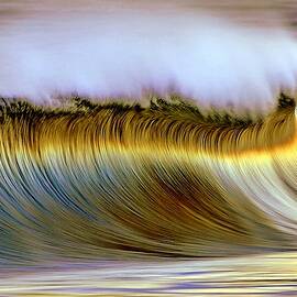 The Wave by Zarija Pavikevik