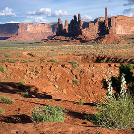 The Yei Bi Chei and Totem Pole in Monument Valley Utah by Mary Lee Dereske