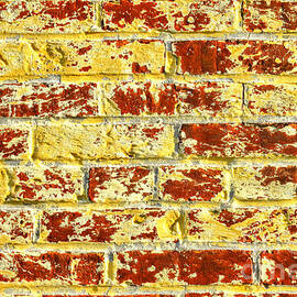 The Yellow Brick Wall by Olivier Le Queinec