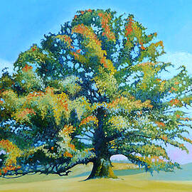 Thomas Jefferson's White Oak Tree On The Way To James Madison's For Afternoon Tea by Catherine Twomey