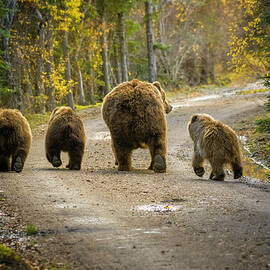 Bear Bums by Chad Dutson