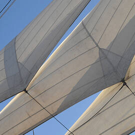 Three Sails by David Shuler