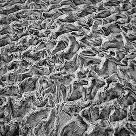 Tidal Sand patterns by Bruce Block