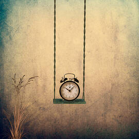 Timeless by Ian Barber