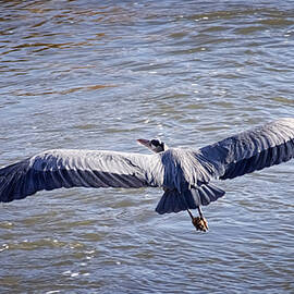 To Know That You Have Wings Is To Fly by Mary Lee Dereske