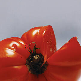 Tomato by Romulo Yanes