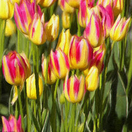 Too Many Tulips by Jeffrey Kolker
