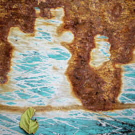 Torn Leaf on Rusted Metal by Mary Lee Dereske