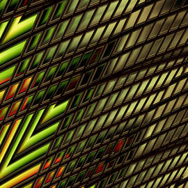 Toucan Tango by Vic Eberly