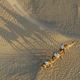 Tourists on camel ride in Sahara Desert by Sami Sarkis Photography