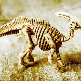 Toys and artefacts by Jorgo Photography