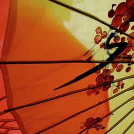 Traditional red and yellow umbrellas by Sami Sarkis Photography