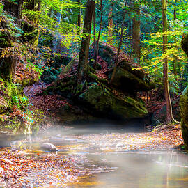 Tranquil Mist by David Morefield