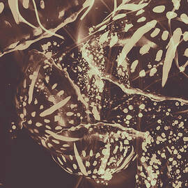 Translucent abstraction by Jorgo Photography