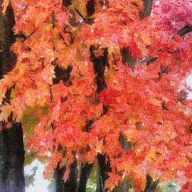 Trees Aflame by Jeffrey Kolker