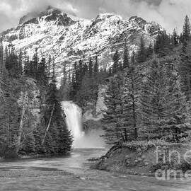 Trick Falls Into The Swollen Creek Black And White by Adam Jewell