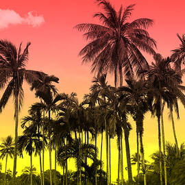 tropical 9 by Mark Ashkenazi