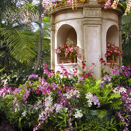 Tropical Orchids by Jessica Jenney
