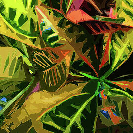 Tropicale by Gina Harrison
