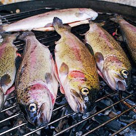 Trout being grilled on a hot barbeque by Sami Sarkis Photography