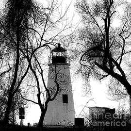 Turkey Point Lighthouse by Olivier Le Queinec
