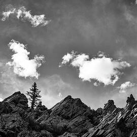 Tusas Canyon New Mexico by Mary Lee Dereske