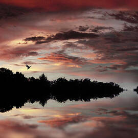 Twilight Flight by Jessica Jenney