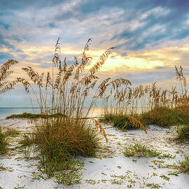 Twilight Sea Oats by Steven Sparks
