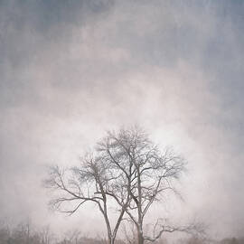 Two Trees by Scott Norris