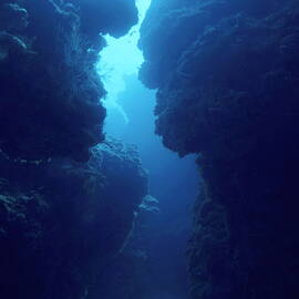 Underwater coral formations in Palancar Reefs by Sami Sarkis Photography
