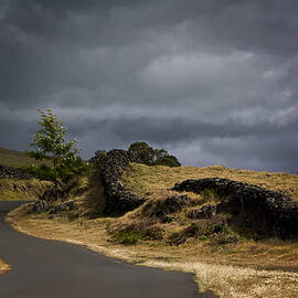 Upcountry Maui by Waterdancer 