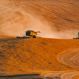 Uphill by Mary Jo Allen