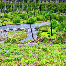 upper Imnaha River from the trail to the Blue Hole by Bruce Block