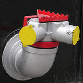 Urban Wildlife by Richard Reeve