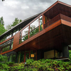 Vampire's House from the Twilight Saga by Miroslav Liska