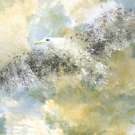 Vanishing Seagull by Melanie Viola