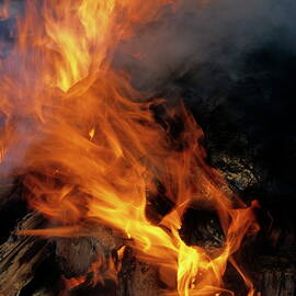 Vanuatu's national dish 'laplap' cooking over the open flames of a traditional oven by Sami Sarkis Photography