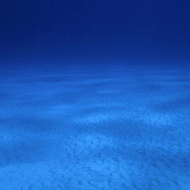 Vast sandy ocean floor and blue waters by Sami Sarkis Photography