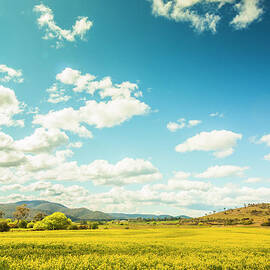 Vertical plains by Jorgo Photography