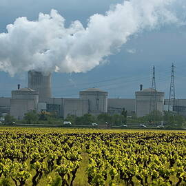 Vineyard at spring outside of the Tricastin Nuclear Power Plant by Sami Sarkis Photography